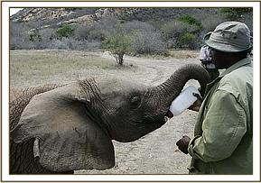 Sunyei has her bottle
