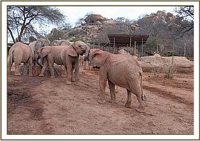Orwa tackling Kithaka