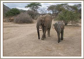 Sunyei and Ololoo