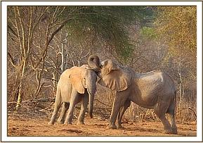 Wendi and Kinna playing