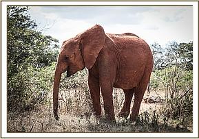 Sagala finds a quiet spot to browse