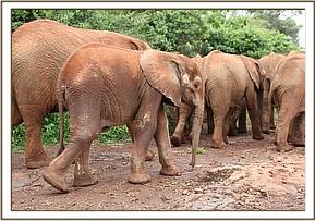Orwa heading out with the rest of the group