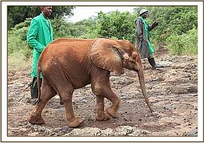 Orwa coming to the mudbath
