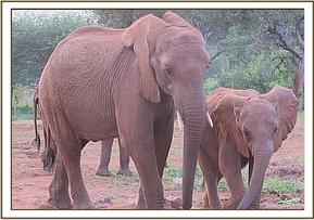 Lesanju and Mudanda
