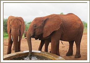 Thoma, Eve and Seraa drinking at the stockade