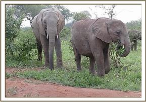 Kainuk and Namalok