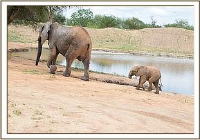 Kinna and baby Kama