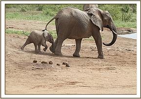Sunyei and baby Siku