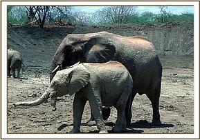 Wendi and Chaimu