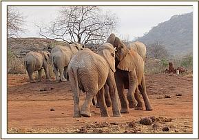 Orwa plays with Kilabasi