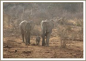Sunyei, Wiva and Wendi