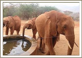 Lesanju joins the orphans at the stockade