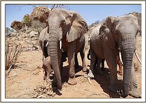Nasalot, her baby Nusu and Chyulu