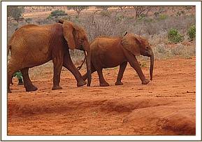 Lesanju and Dida at the mudbath area