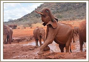 Lesanju shining in the bathing games