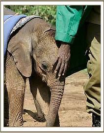 Lempaute with her Keeper