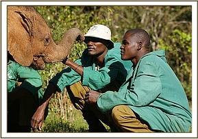 Lempaute charming her Keepers