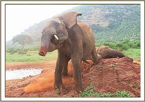 Lesanju enjoying her time at the mud bath