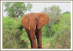 Thoma comes to join the small orphans