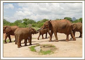 Yatta greeting the orphans