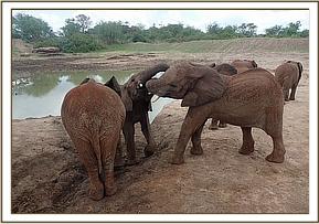 Orwa playing with Kithaka