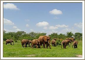 Mulika with the dependent orphans