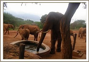 Laikipia