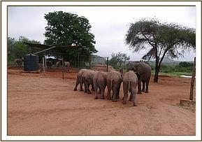 The orphans facing Ex Orphan Madiba