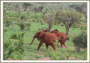 Lempaute and Kivuko catching up with the orphans