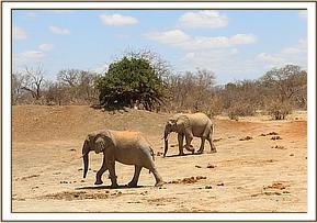 Taita and Zurura
