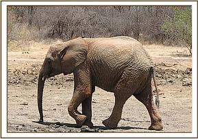 Lualeni at the mudbath