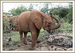 Enkesha knows she can manipulate Jotto
