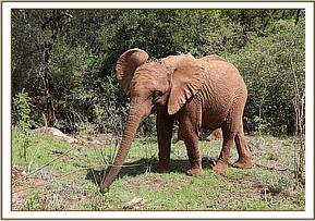 Mteto has been nicknamed the laughing girl