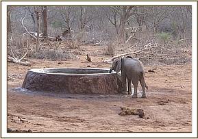 Mwende having a drink of water
