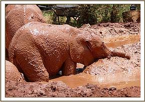 Enkesha in the mud bath
