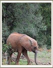 Sweet little Maisha