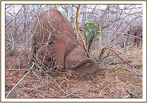 Sunyei playing by herself