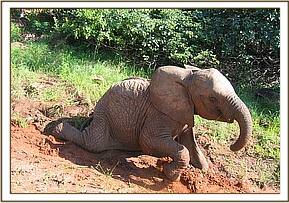 Lualeni enjoying herself in the soft earth