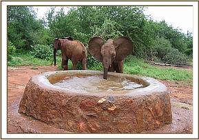 madiba blowing bubbles in the water