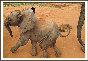 Baby Mwende