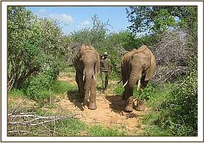 Lualeni and Kora