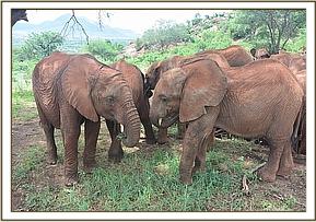 Ndoria, right, with Arruba