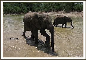 Lualeni and Sian in the water