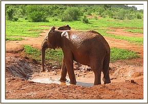 Lempaute bathing