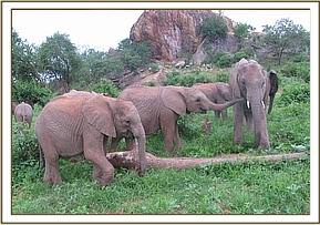 Lualeni with the junior group