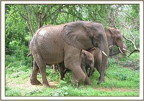 Yatta and her group with the youngsters