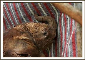 Lesanju with her blanket
