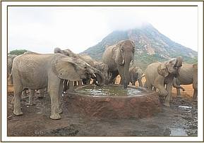 Mulika drinking water with the orphans