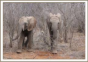 Madiba & Ndomot