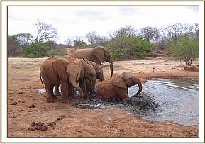 Lualeni lying in the mudbath water